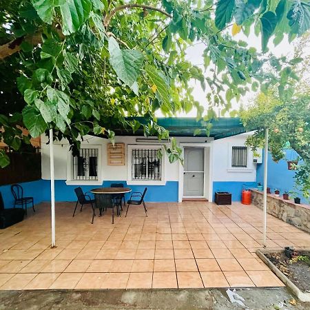 Estudio Adosado Acogedor Con Jardin, Barbacoa Y Parking Privado Alicante Dış mekan fotoğraf