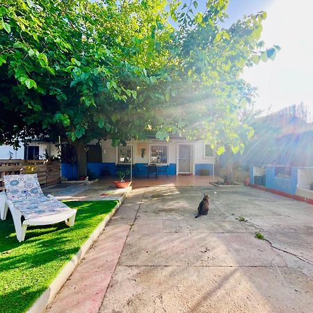 Estudio Adosado Acogedor Con Jardin, Barbacoa Y Parking Privado Alicante Dış mekan fotoğraf