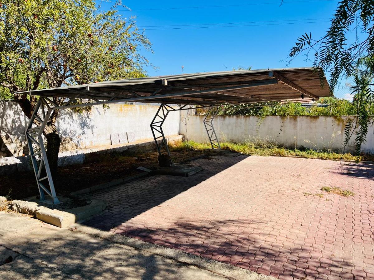 Estudio Adosado Acogedor Con Jardin, Barbacoa Y Parking Privado Alicante Dış mekan fotoğraf
