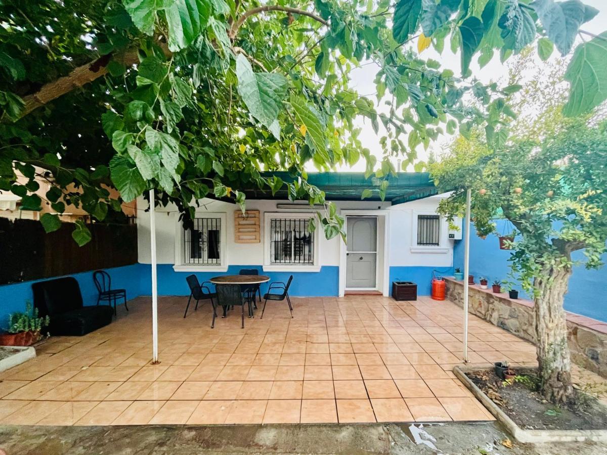 Estudio Adosado Acogedor Con Jardin, Barbacoa Y Parking Privado Alicante Dış mekan fotoğraf