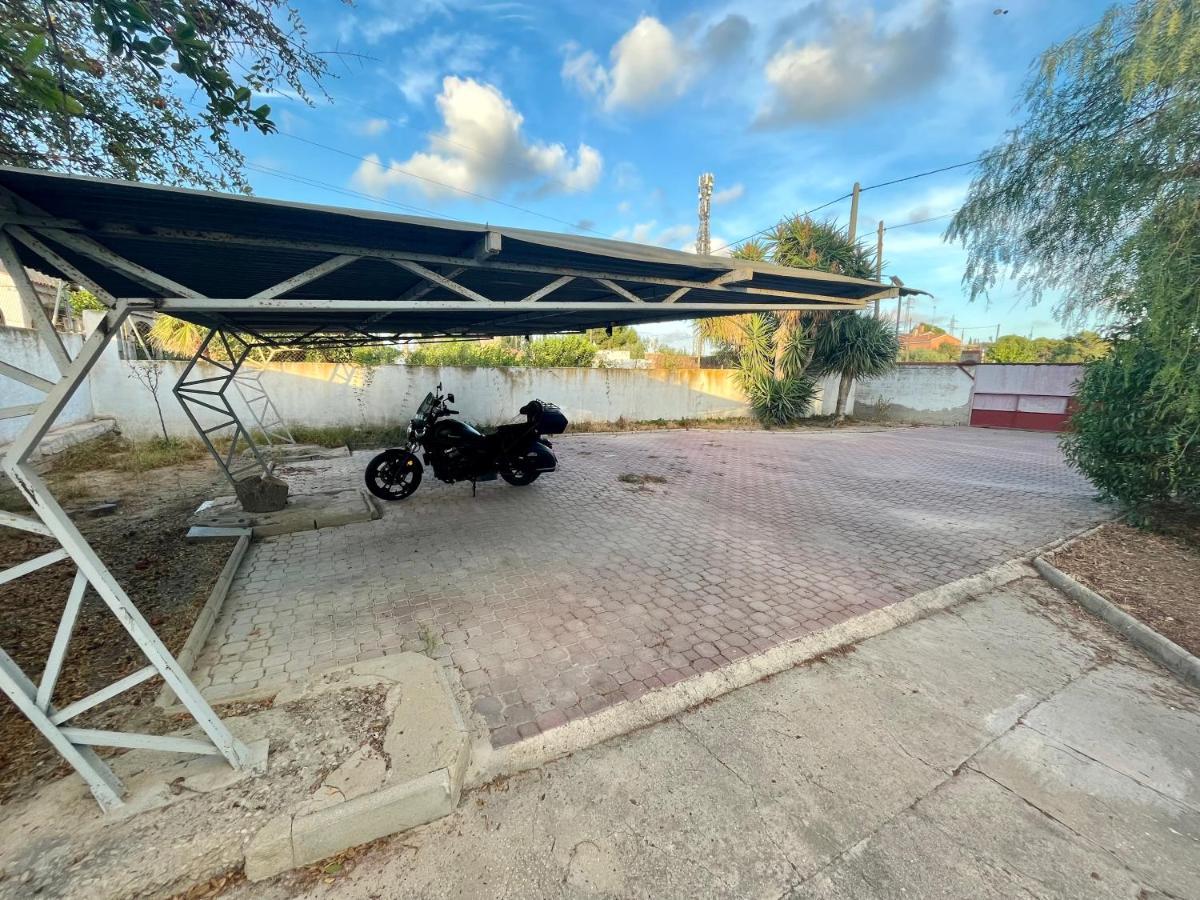 Estudio Adosado Acogedor Con Jardin, Barbacoa Y Parking Privado Alicante Dış mekan fotoğraf
