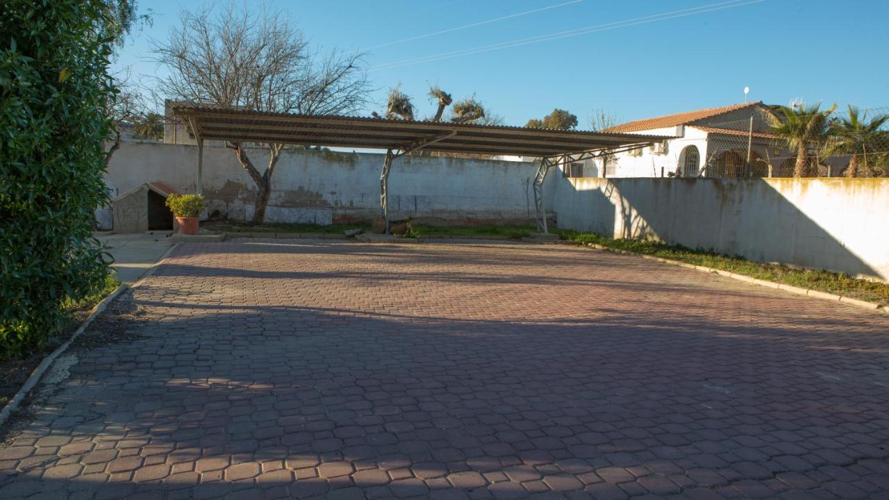 Estudio Adosado Acogedor Con Jardin, Barbacoa Y Parking Privado Alicante Dış mekan fotoğraf