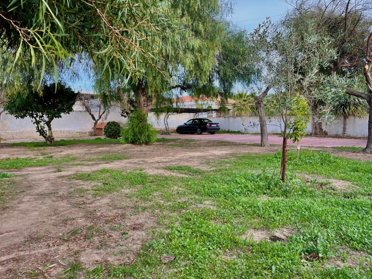 Estudio Adosado Acogedor Con Jardin, Barbacoa Y Parking Privado Alicante Dış mekan fotoğraf