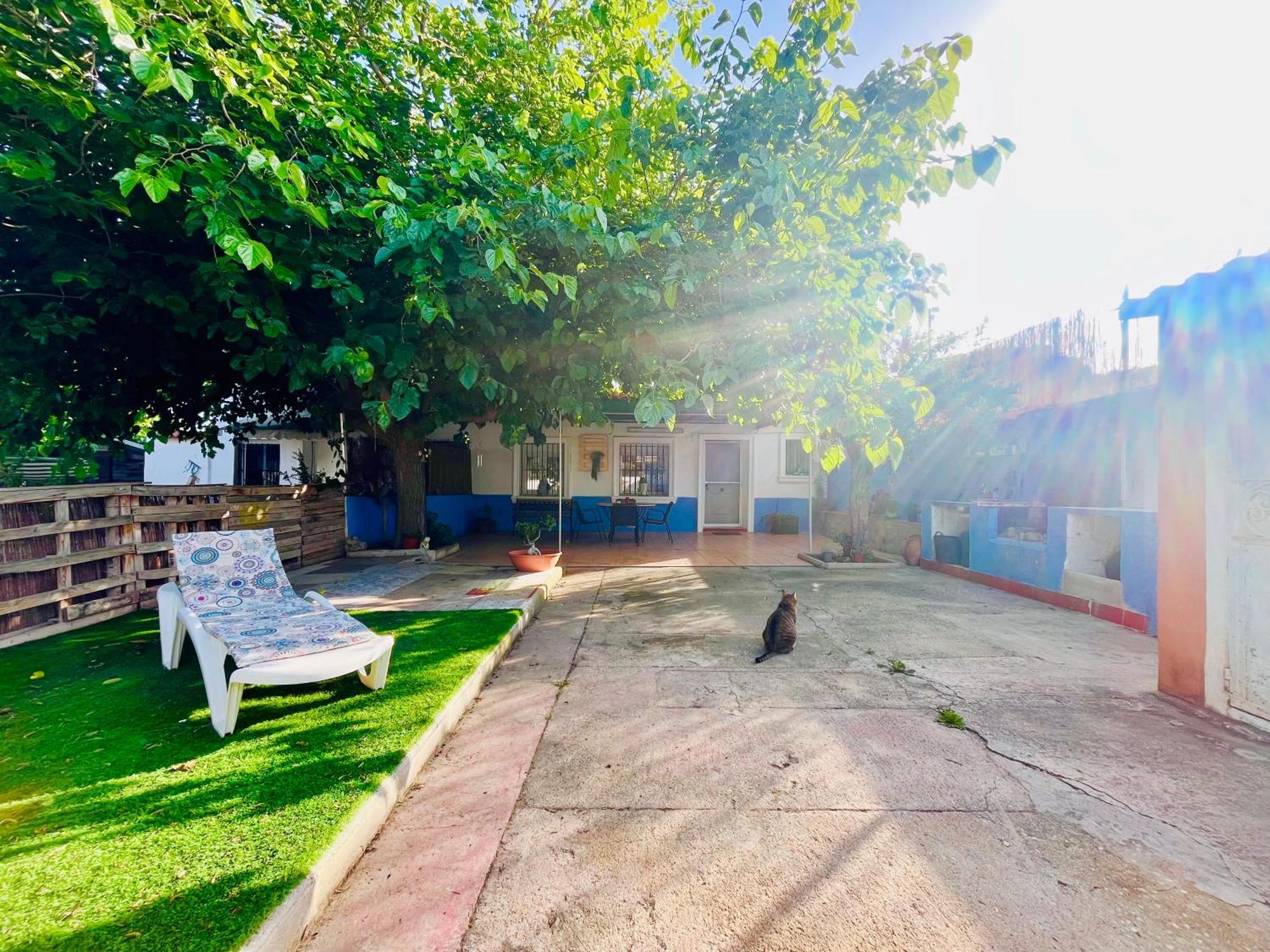 Estudio Adosado Acogedor Con Jardin, Barbacoa Y Parking Privado Alicante Dış mekan fotoğraf